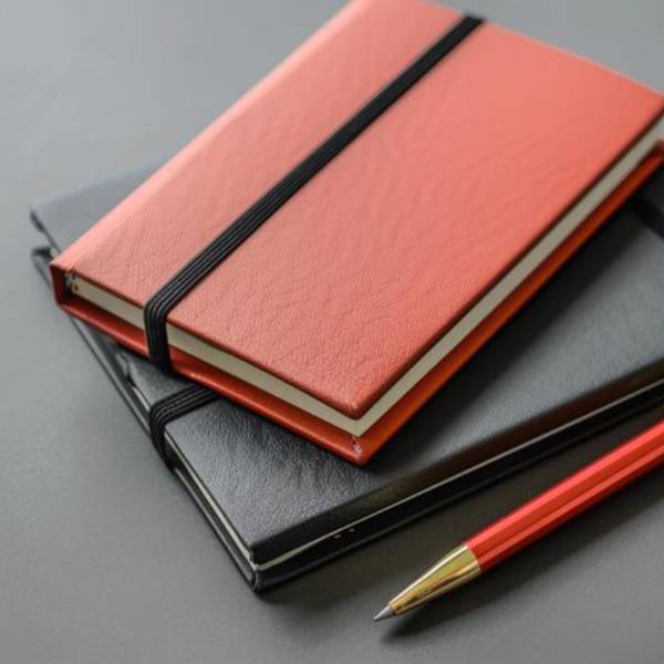 Diaries